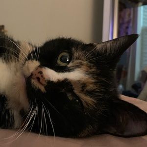 Meet your Posher, Gracie